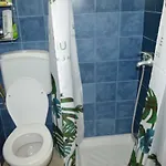 Apartment Viktor *