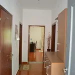 Viktor