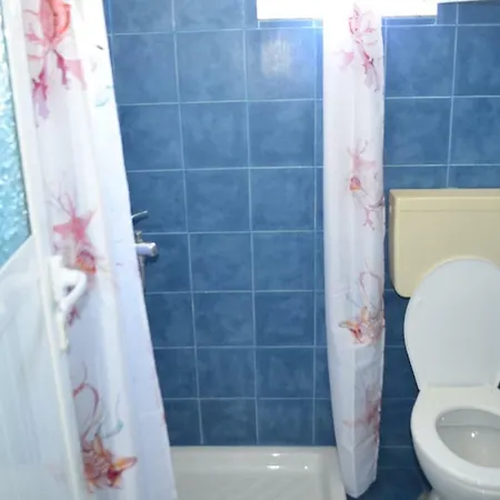 Viktor Apartment *
